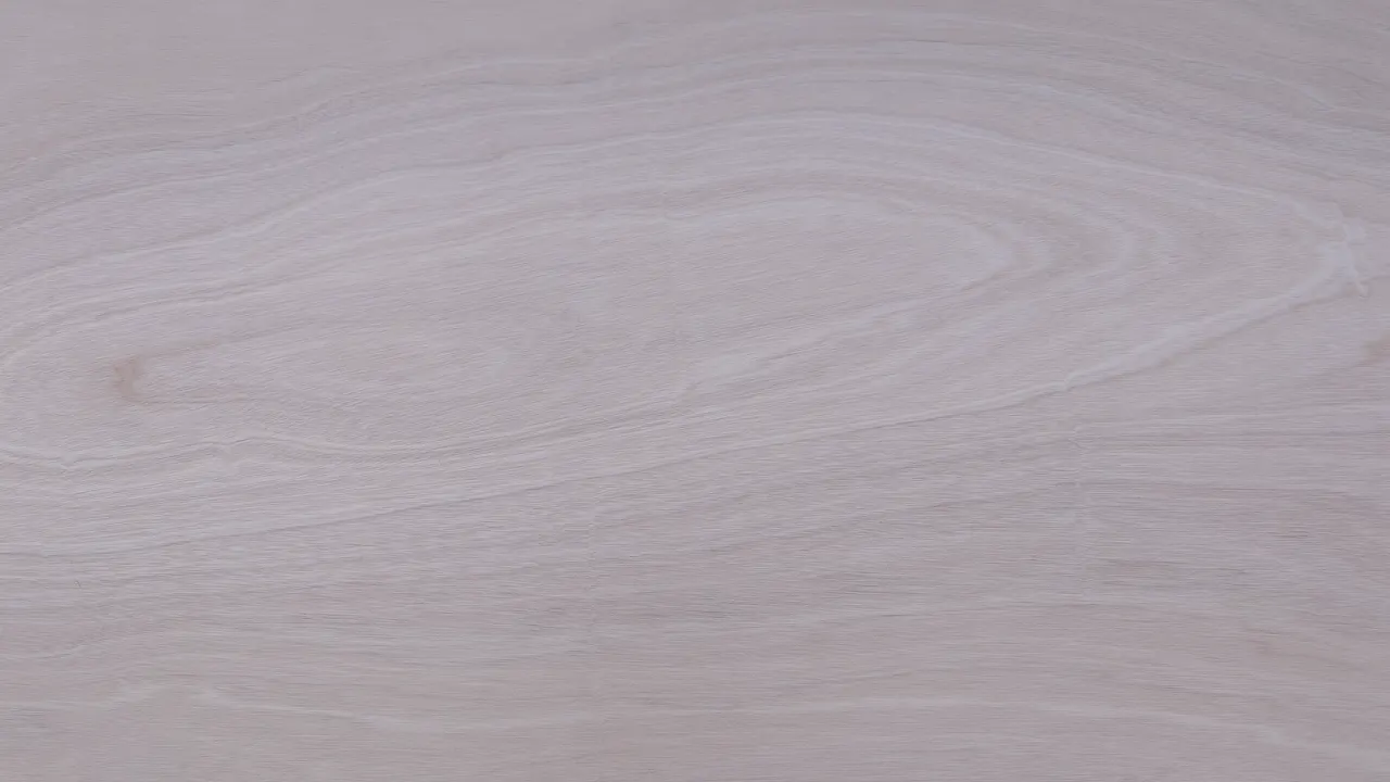 American Black Walnut